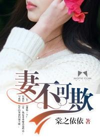 妻不可欺免费完整版 电视剧 妻不可欺免费完整版 电视剧