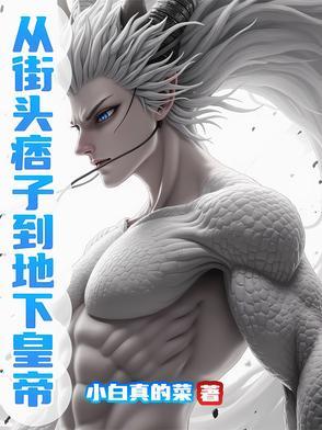 从街头痞子到地下皇帝 从街头痞子到地下皇帝